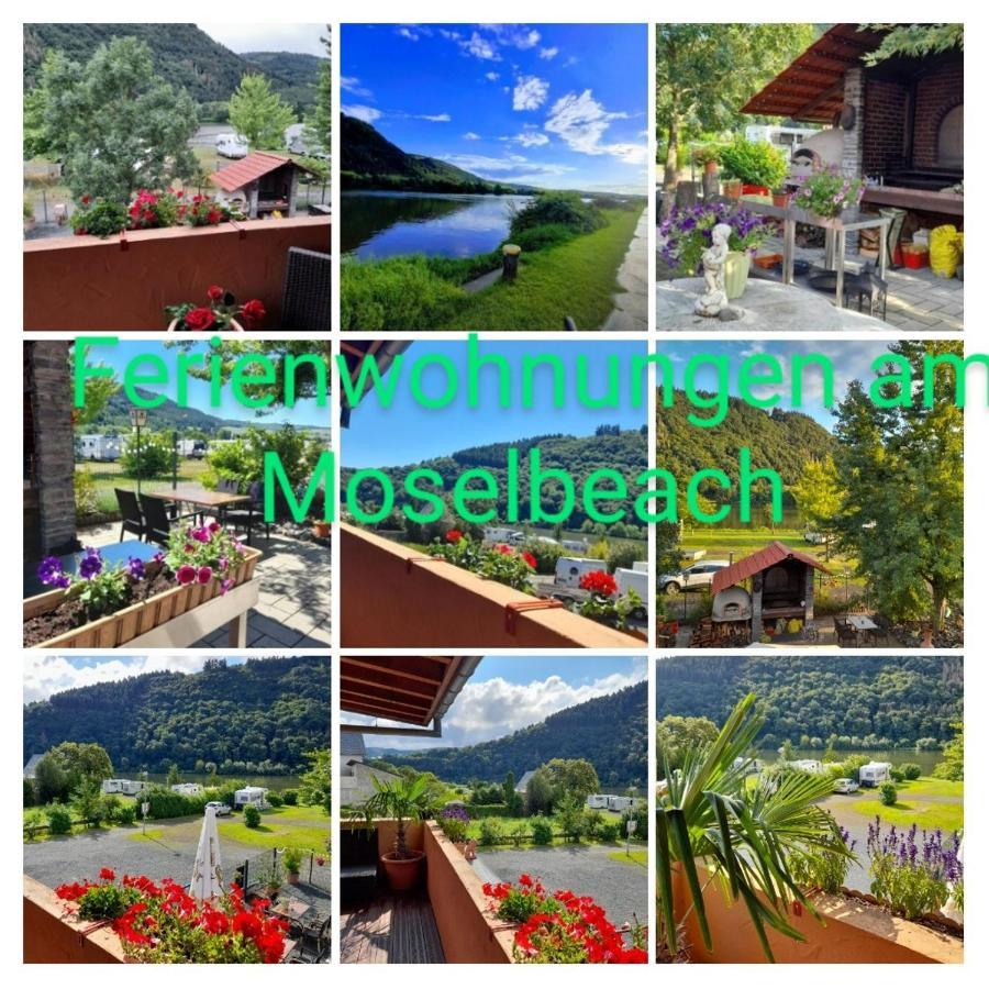 Ferienwohnungen Am Moselbeach Меринг Екстериор снимка